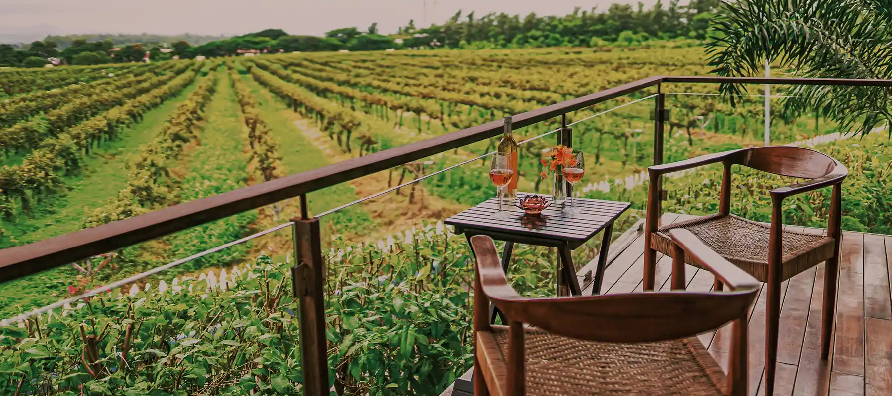 Wine tasting at a Nashik vineyard