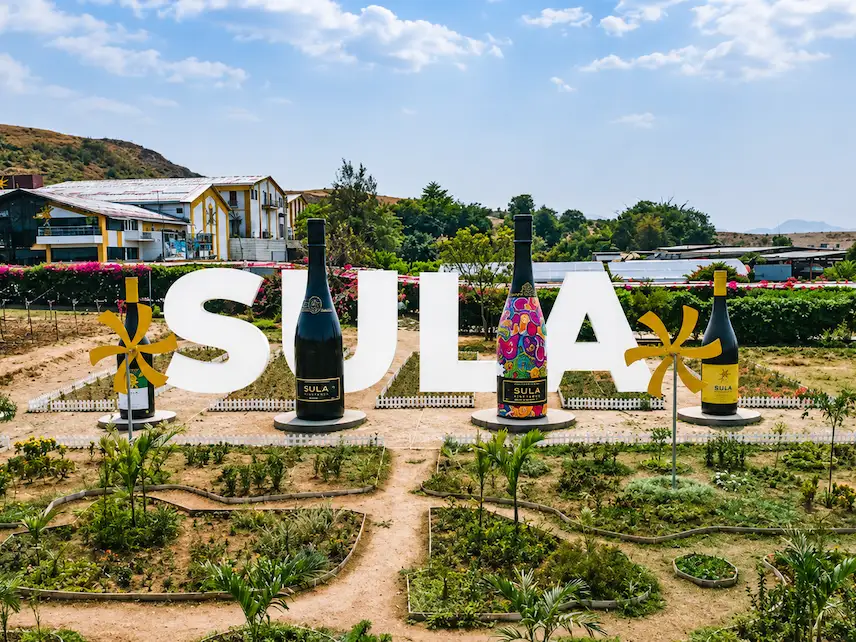 Vineyard views near Sula Vineyards Nashik