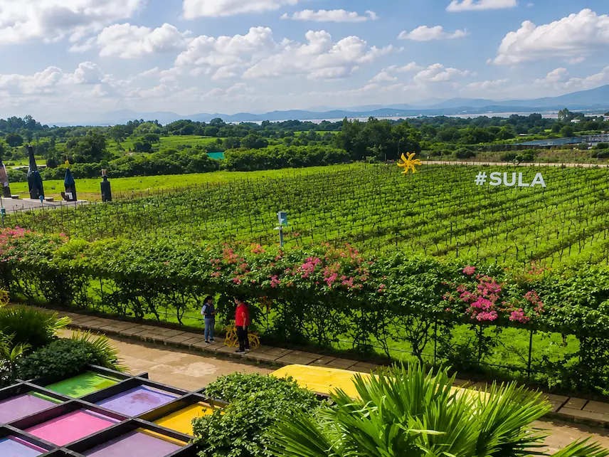 Vineyards and scenic countryside near Nashik