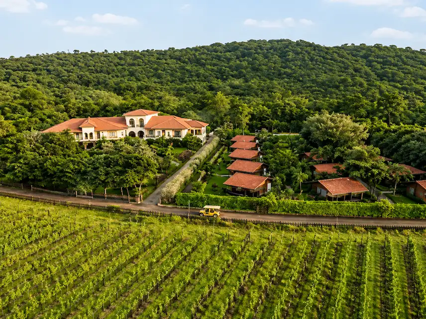 Vineyards and scenic countryside near Nashik
