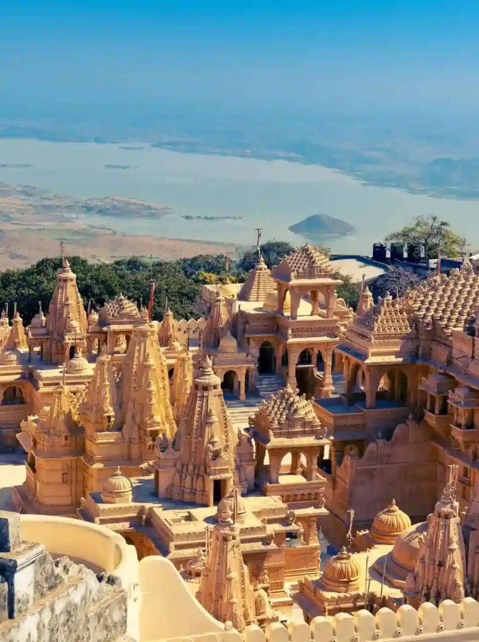 Palitana Jain Temples near Bhavnagar, one of India's most sacred pilgrimage destinations featuring magnificent hilltop temple architecture.